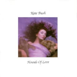 Hounds of Love